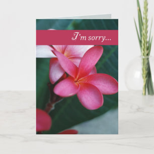 Apology Flower Card