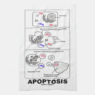 Apoptosis Biology Programmed Cell Death Tea Towel