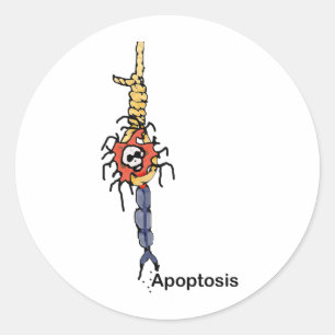 Apoptosis Classic Round Sticker