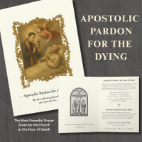 Apostolic Pardon Long Form Latin Prayer