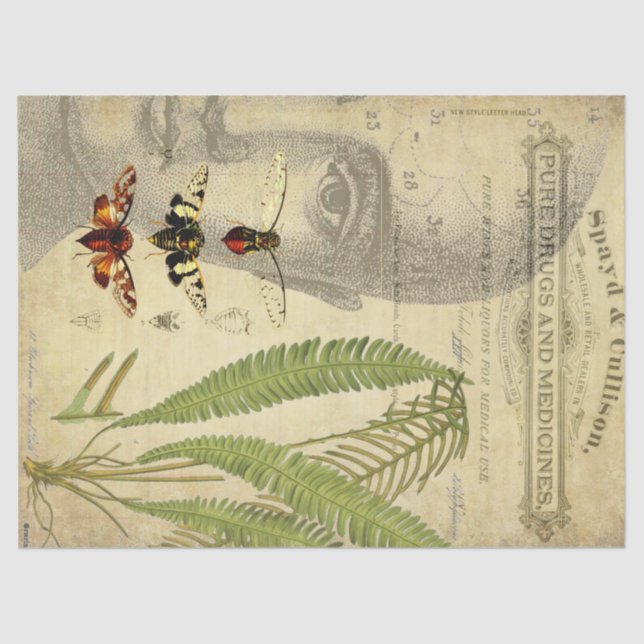 Apothecary Decoupage Tissue Paper (Front)