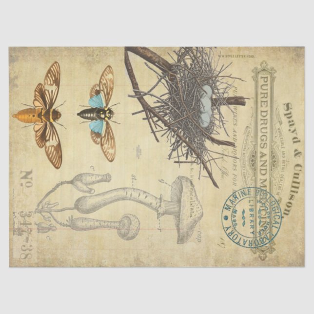 Apothecary Decoupage Tissue Paper (Front)