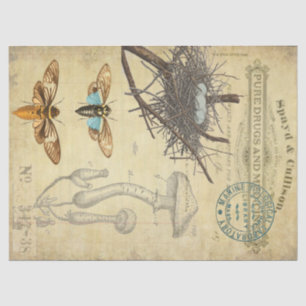 Apothecary Decoupage Tissue Tissue Paper