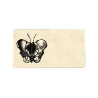 Apothecary