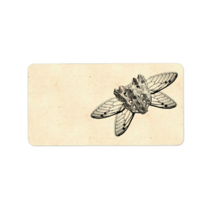 Apothecary Label