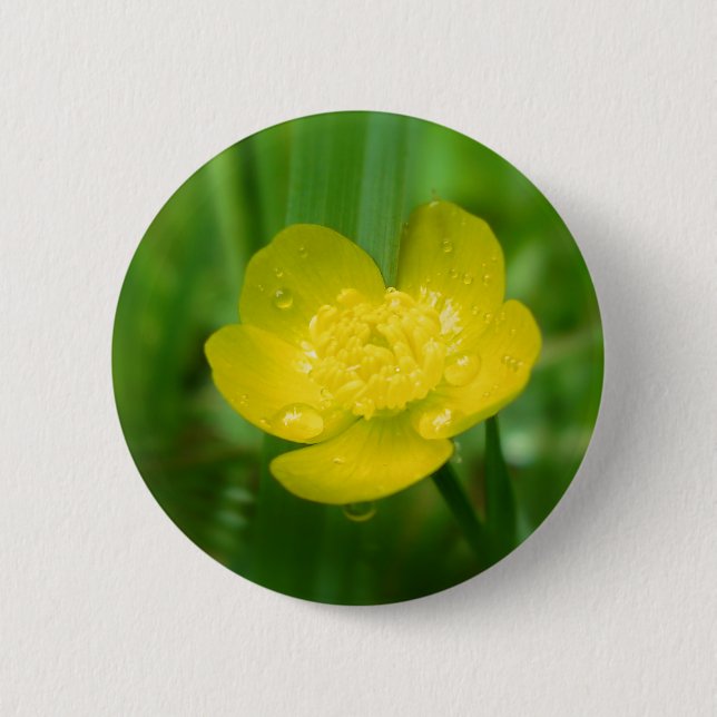 Appalachian Buttercup Button (Front)