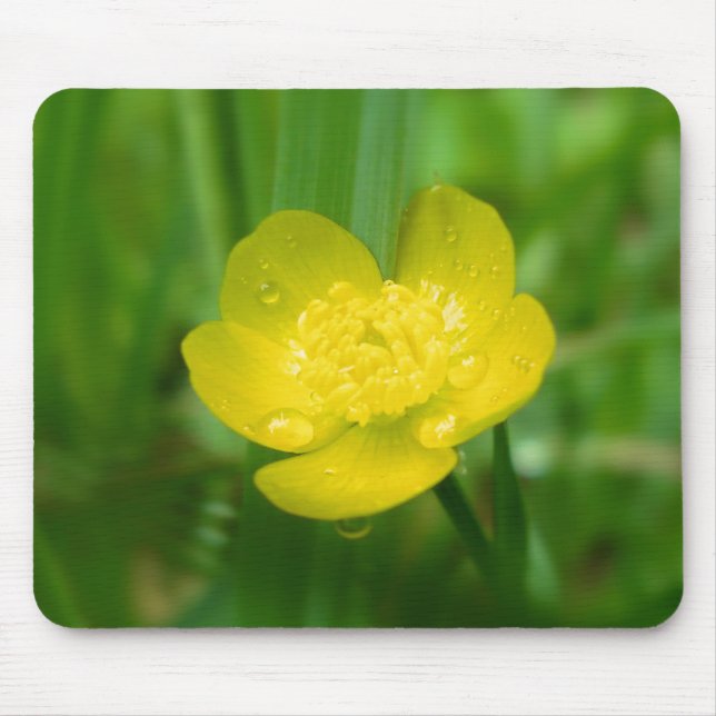 Appalachian Buttercup Mousepad (Front)