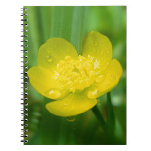 Appalachian Buttercup Notebook