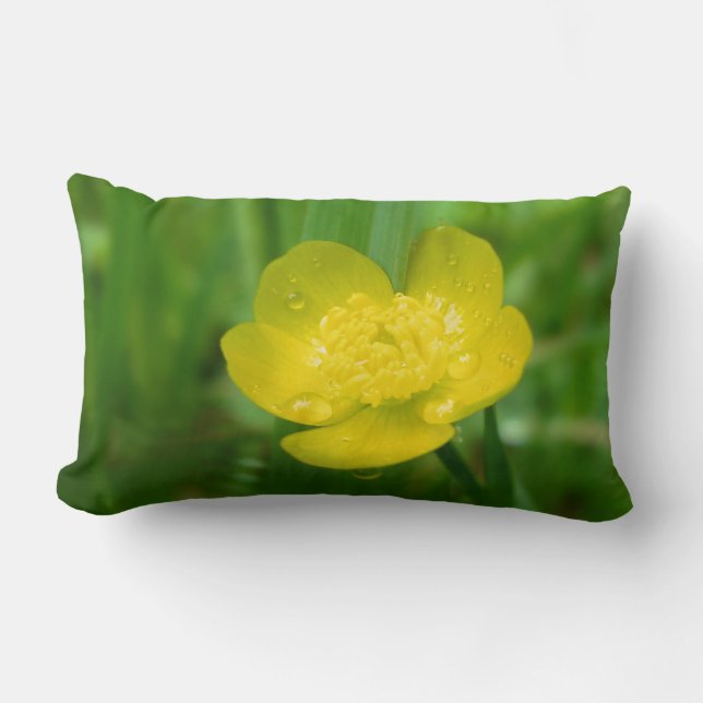 Appalachian Buttercup Pillow (Front)