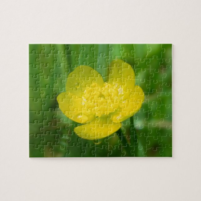 Appalachian Buttercup Puzzle (Horizontal)