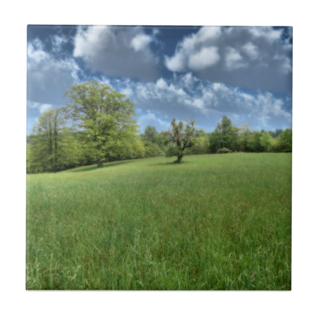 Appalachian Green Decorative Tile (Front)