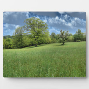 Appalachian Green Photo Plaque