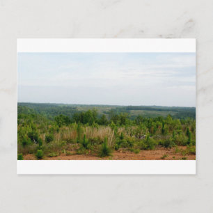 Appalachian Mountain Foothills Postcard