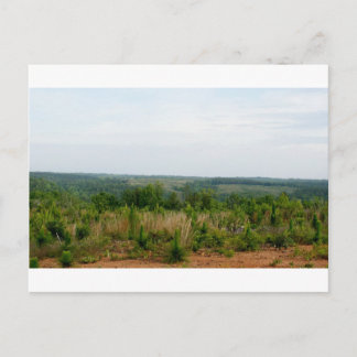 Appalachian Mountain Foothills Postcard