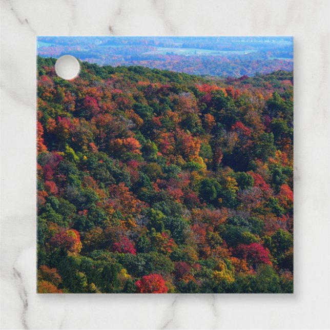 Appalachian Mountains in Fall Favour Tags (Front)