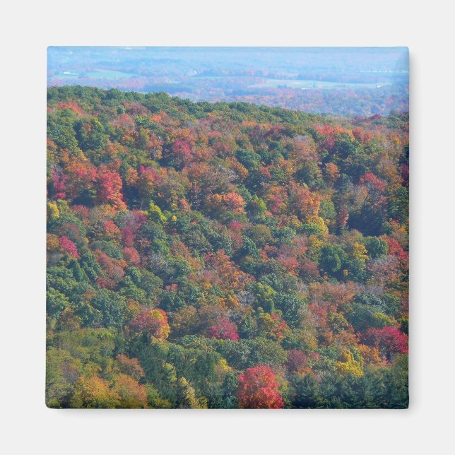 Appalachian Mountains in Fall Magnet (Front)