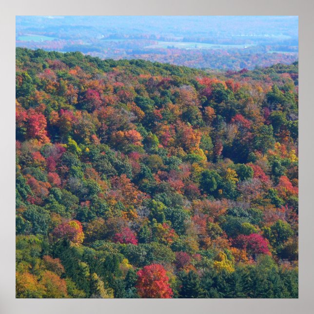 Appalachian Mountains in Fall Poster (Front)