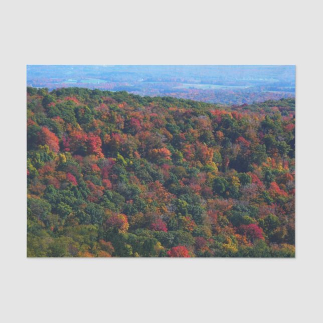 Appalachian Mountains in Fall Tissue Paper (Front)
