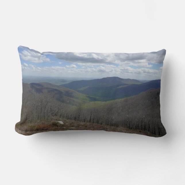 Appalachian Mountains in Spring Lumbar Cushion (Front)