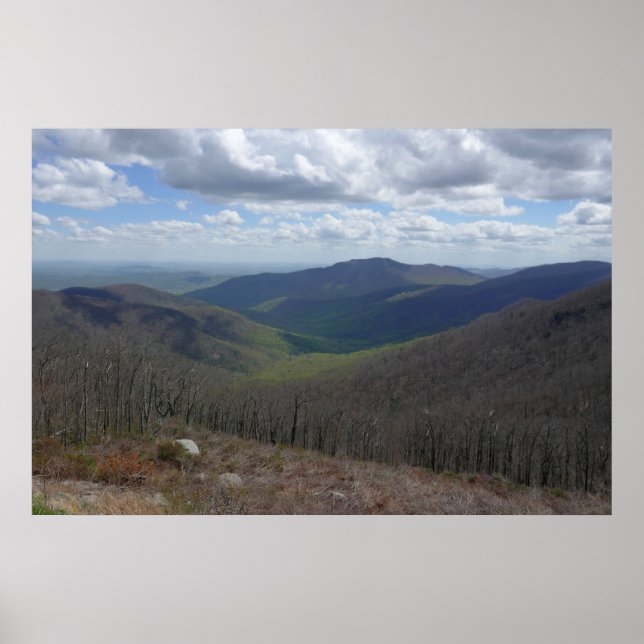 Appalachian Mountains in Spring Poster (Front)