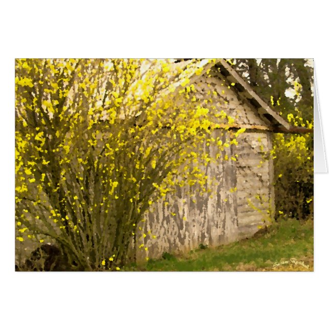 Appalachian Spring (Front Horizontal)