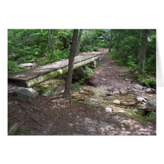 Appalachian trail bridge
