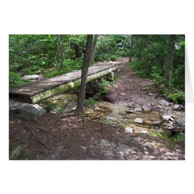 Appalachian trail bridge (Front Horizontal)