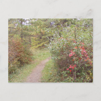 appalachian trail fall pennsylvania postcard