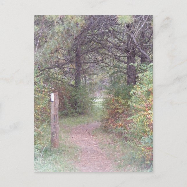 appalachian trail fall pension postcard (Front)