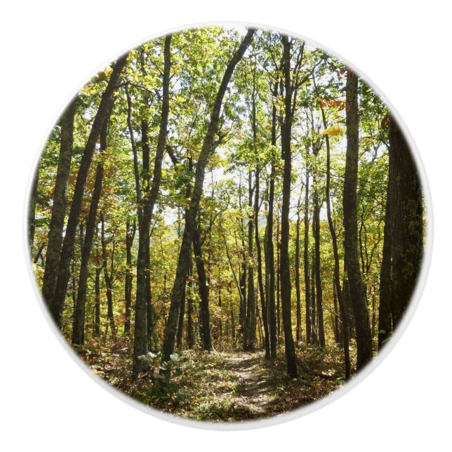 Appalachian Trail in October at Shenandoah Ceramic Knob (Front)