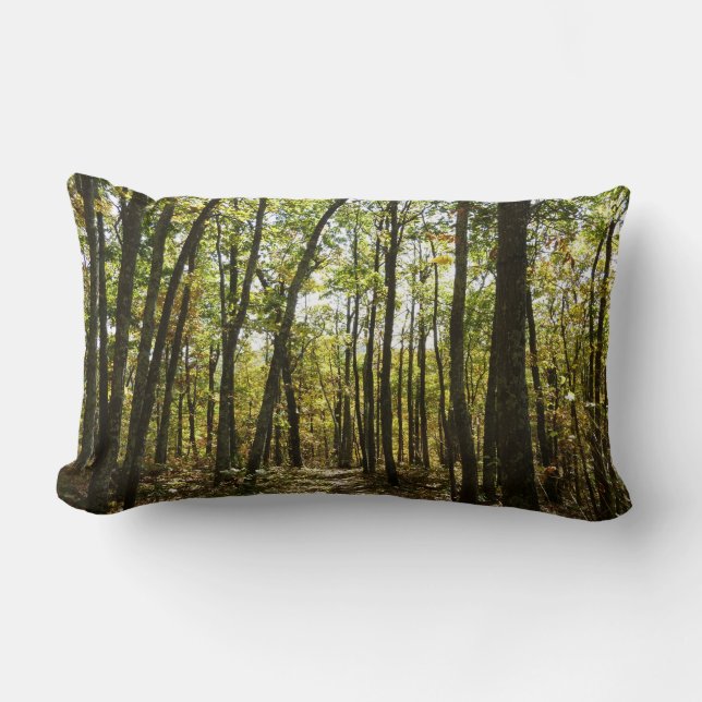 Appalachian Trail in October at Shenandoah Lumbar Cushion (Front)