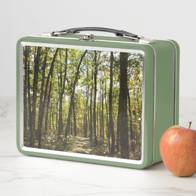 Appalachian Trail in October at Shenandoah Metal Lunch Box (In Situ)
