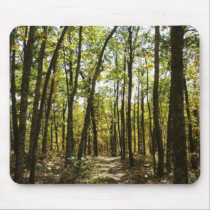 Appalachian Trail in October at Shenandoah Mouse Pad