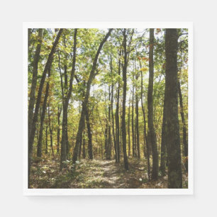 Appalachian Trail in October at Shenandoah Napkin