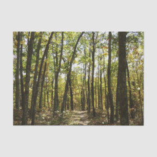 Appalachian Trail in October at Shenandoah Tissue Paper