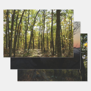 Appalachian Trail in October at Shenandoah Wrapping Paper Sheet