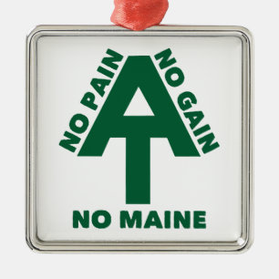Appalachian Trail No Pain No Gain No Maine Metal Ornament
