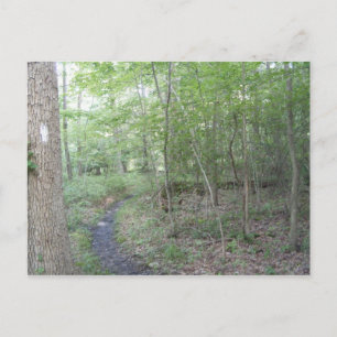 appalachian trail pennsylvania south mountain postcard
