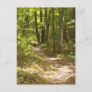 Appalachian trail turkey postcard