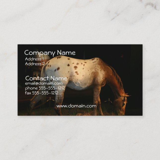 Appaloosa Business Card (Front)