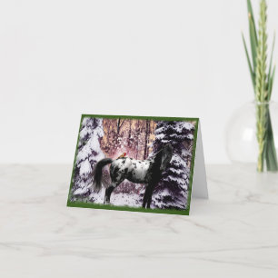 Appaloosa & Cardinals Holiday Card