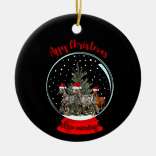 Appaloosa Christmas Ceramic Ornament