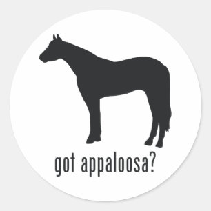 Appaloosa Classic Round Sticker