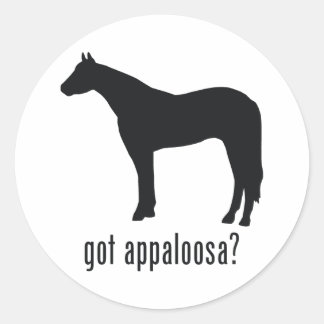 Appaloosa Classic Round Sticker