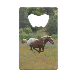 Appaloosa Credit Card Bottle Opener