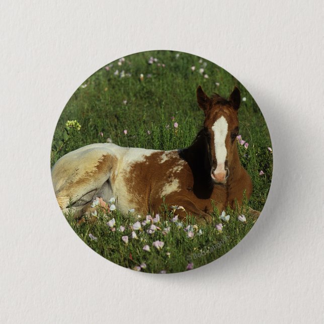 Appaloosa Foal Laying Down in Flowers 6 Cm Round Badge (Front)