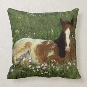 Appaloosa Foal Laying Down in Flowers Cushion