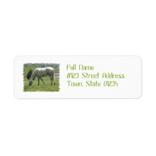 Appaloosa Grazing Return Address Label