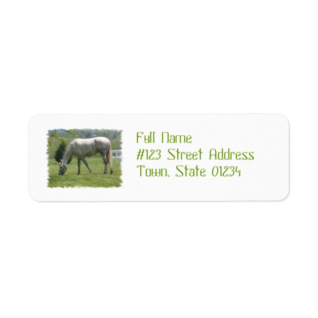 Appaloosa Grazing Return Address Label (Front)