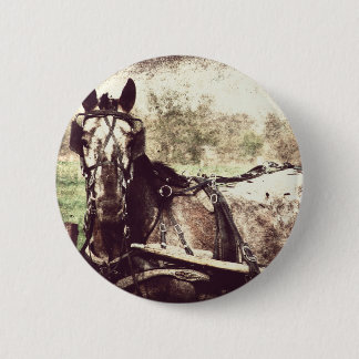 Appaloosa Horse 6 Cm Round Badge